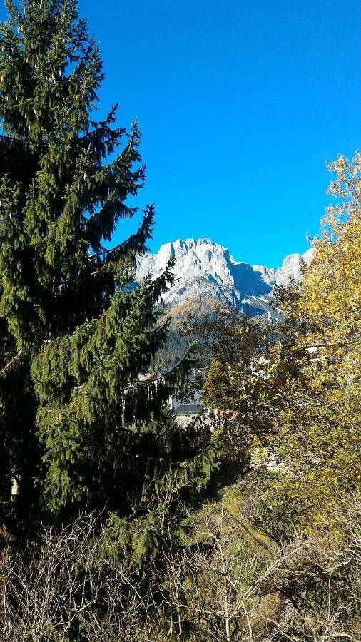 Ferienwohnung Balcone Sulle Dolomiti 2 Dosoledo Exterior foto