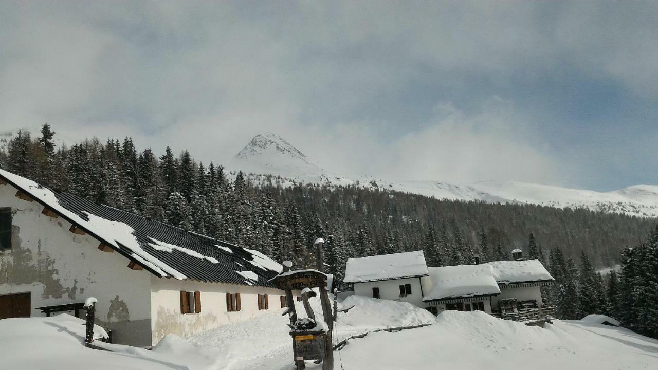 Ferienwohnung Balcone Sulle Dolomiti 2 Dosoledo Exterior foto